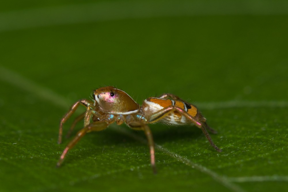 DSC_4655.jpg