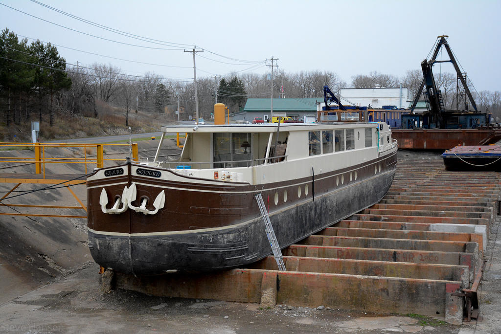 DSC_4656.jpg