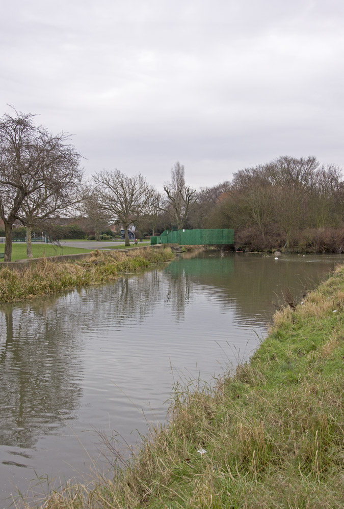 DSC_4657.jpg