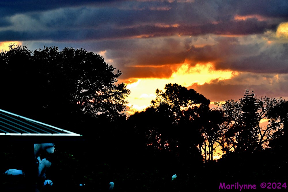 DSC_4662_001.JPG