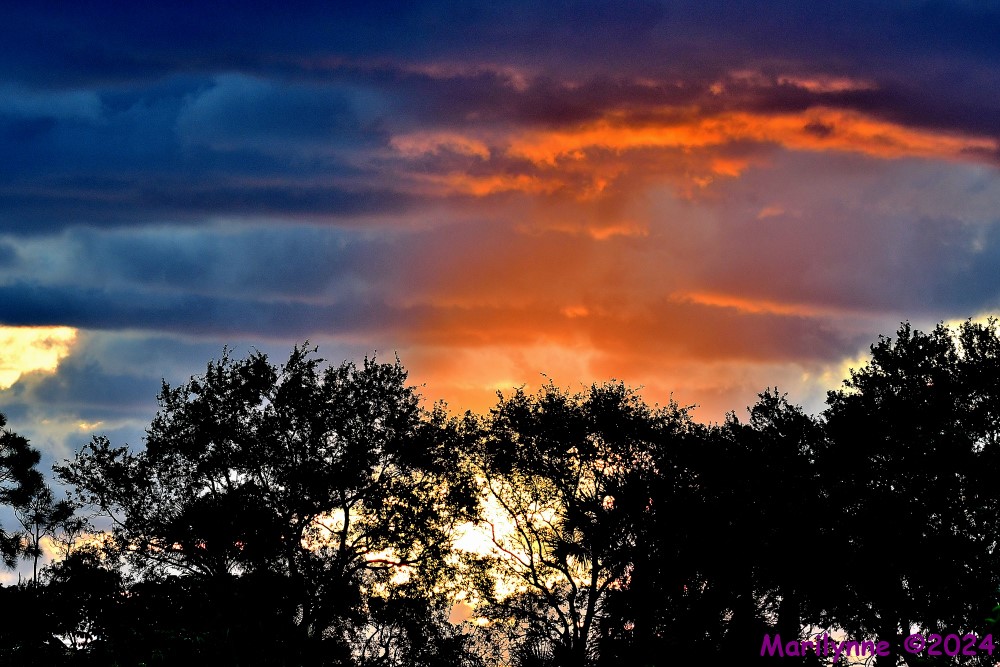 DSC_4663_001.JPG
