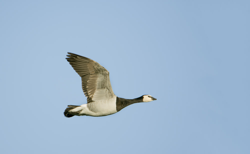 DSC_4664.jpg