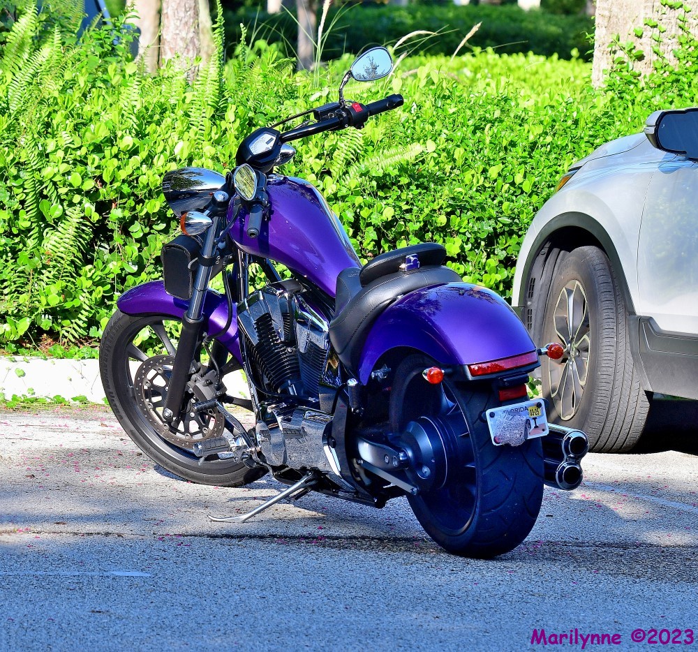 DSC_4664_stitch3_001.JPG