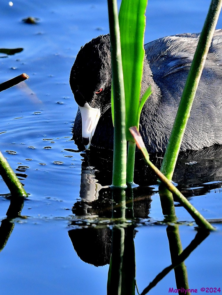 DSC_4670_001.JPG