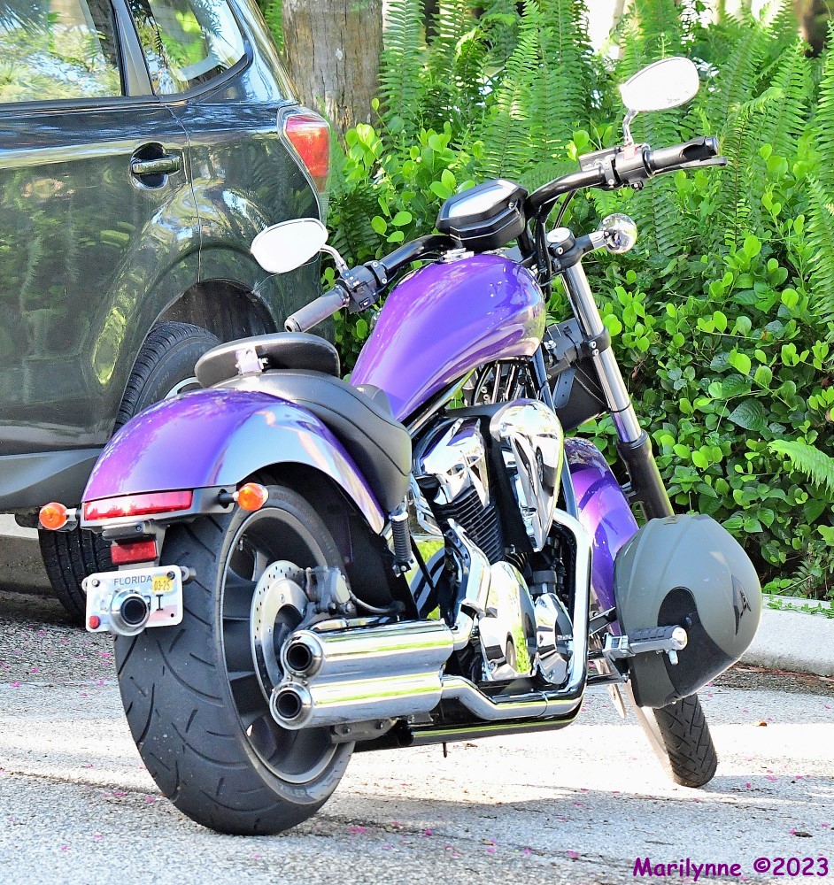 DSC_4670_stitch_001.JPG