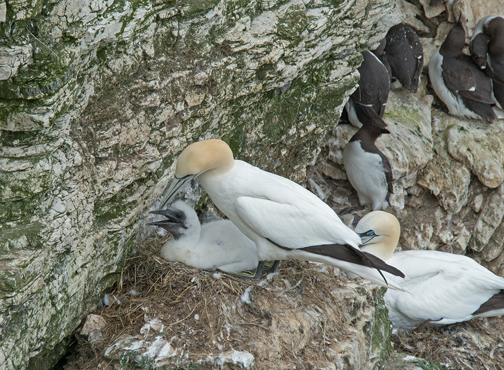 DSC_4674.jpg