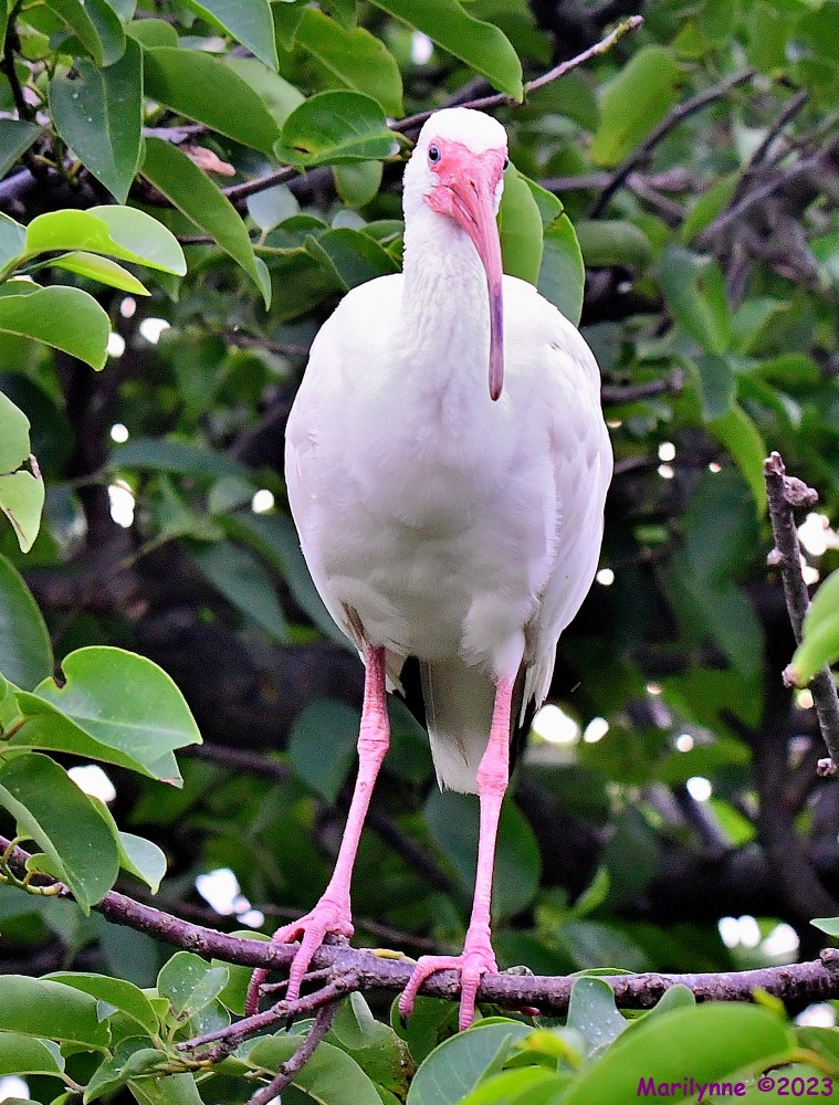 DSC_4676_001.JPG