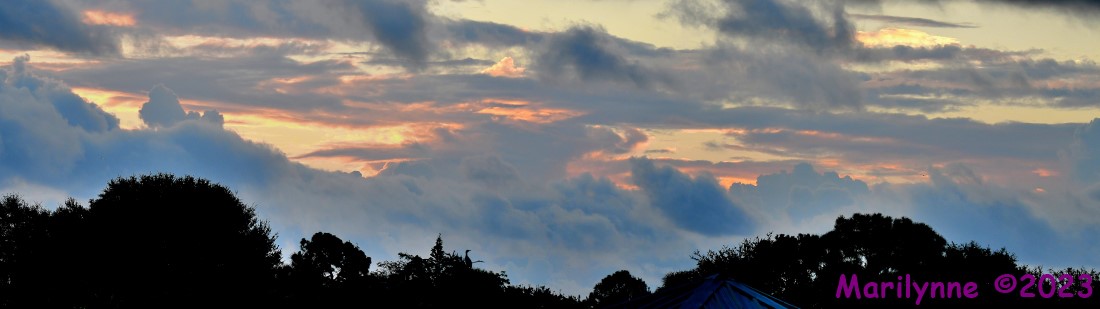 DSC_4678_stitch6_001.JPG