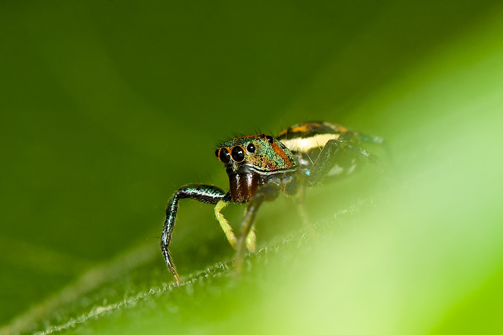 DSC_4681.jpg