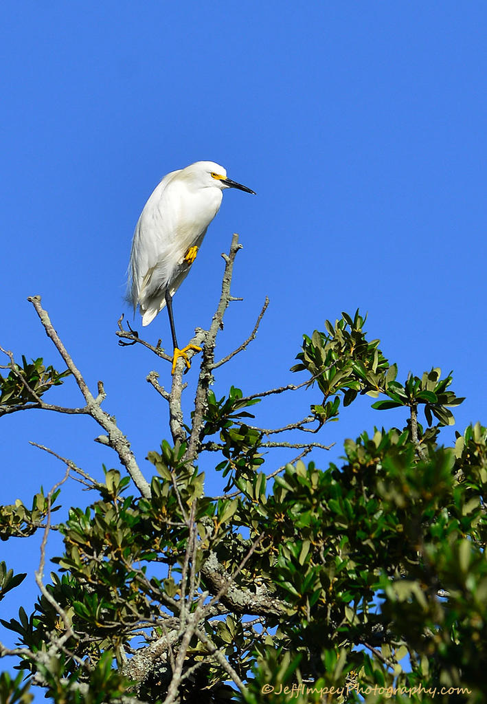DSC_4688.jpg