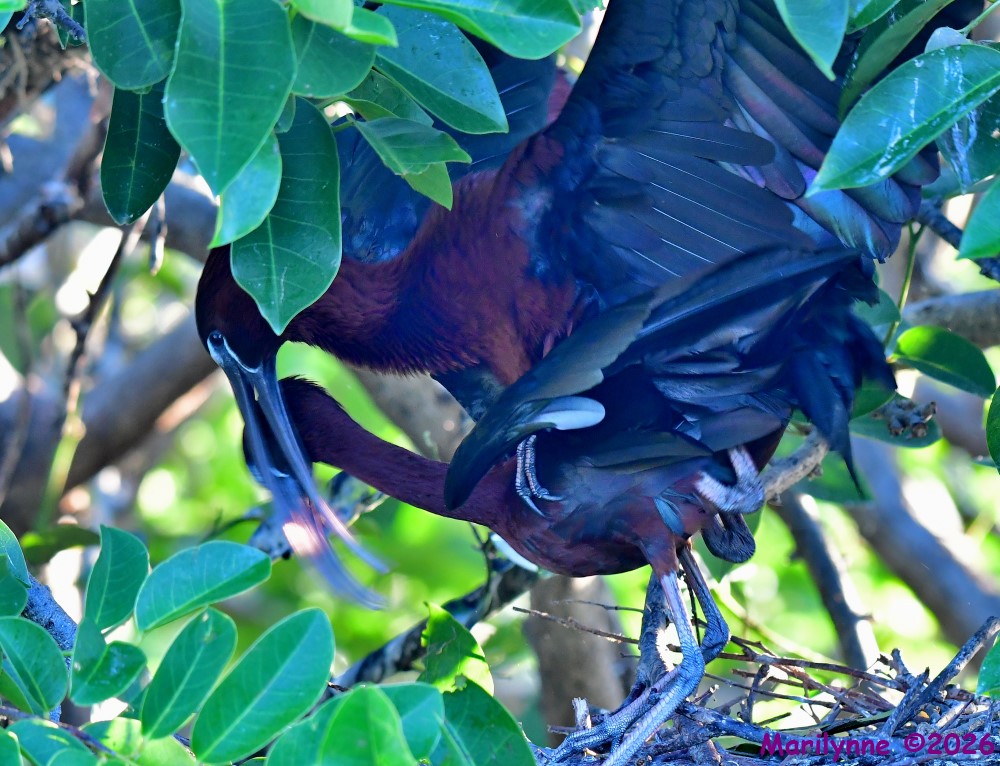 DSC_4691_001.JPG