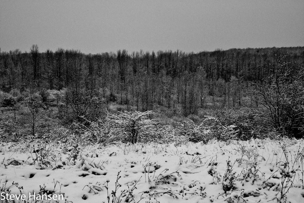 DSC_4696-2.jpg