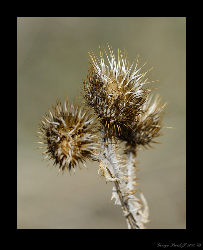 DSC_4702_Web.jpg