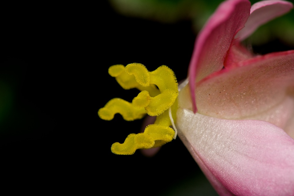 DSC_4704.jpg