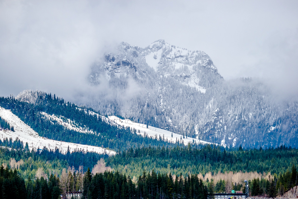 DSC_4705.jpg