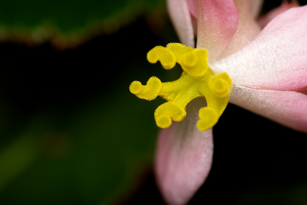 DSC_4705.jpg
