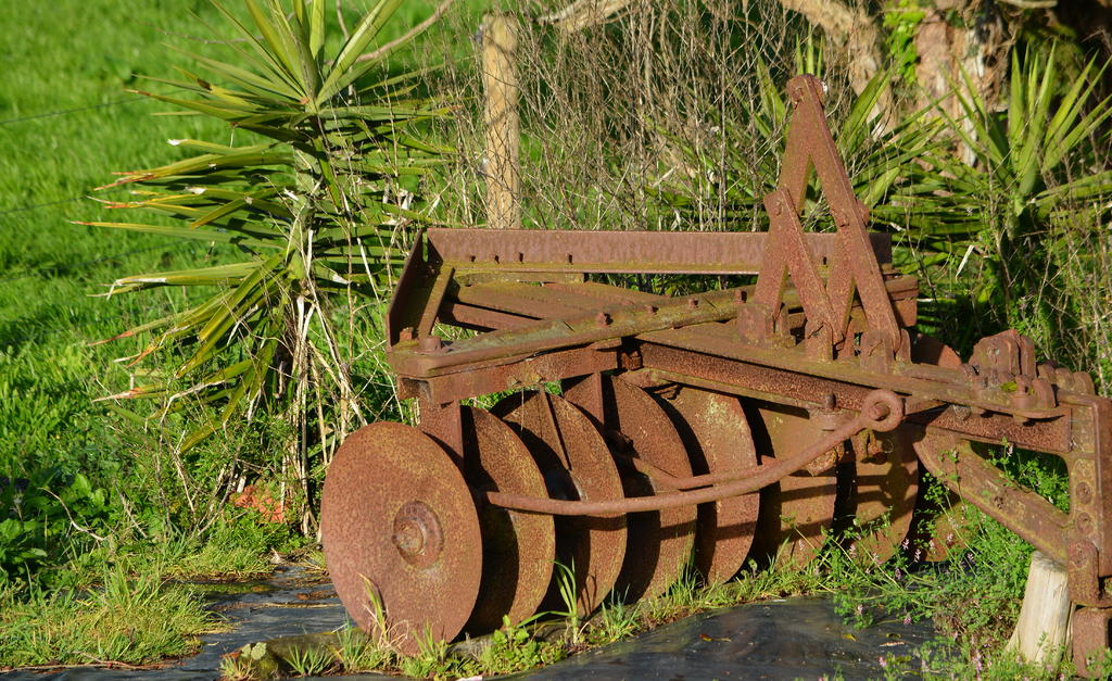 DSC_4706.jpg