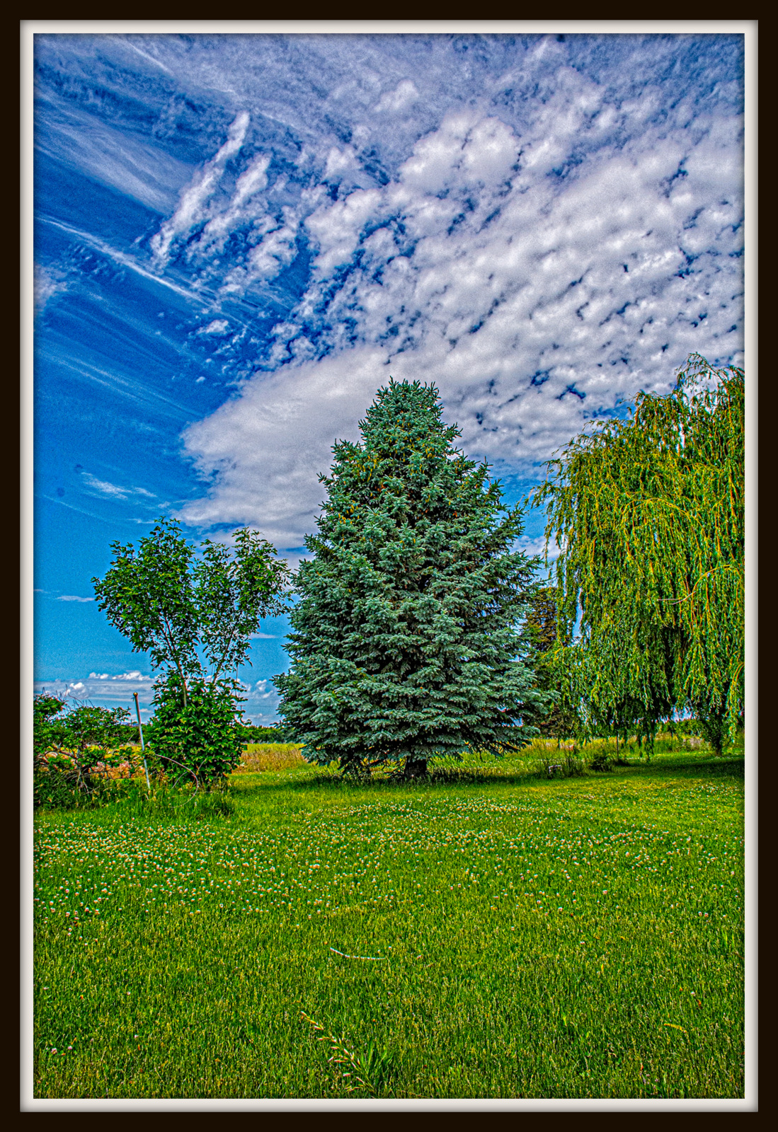 DSC_4708-Edit.jpg