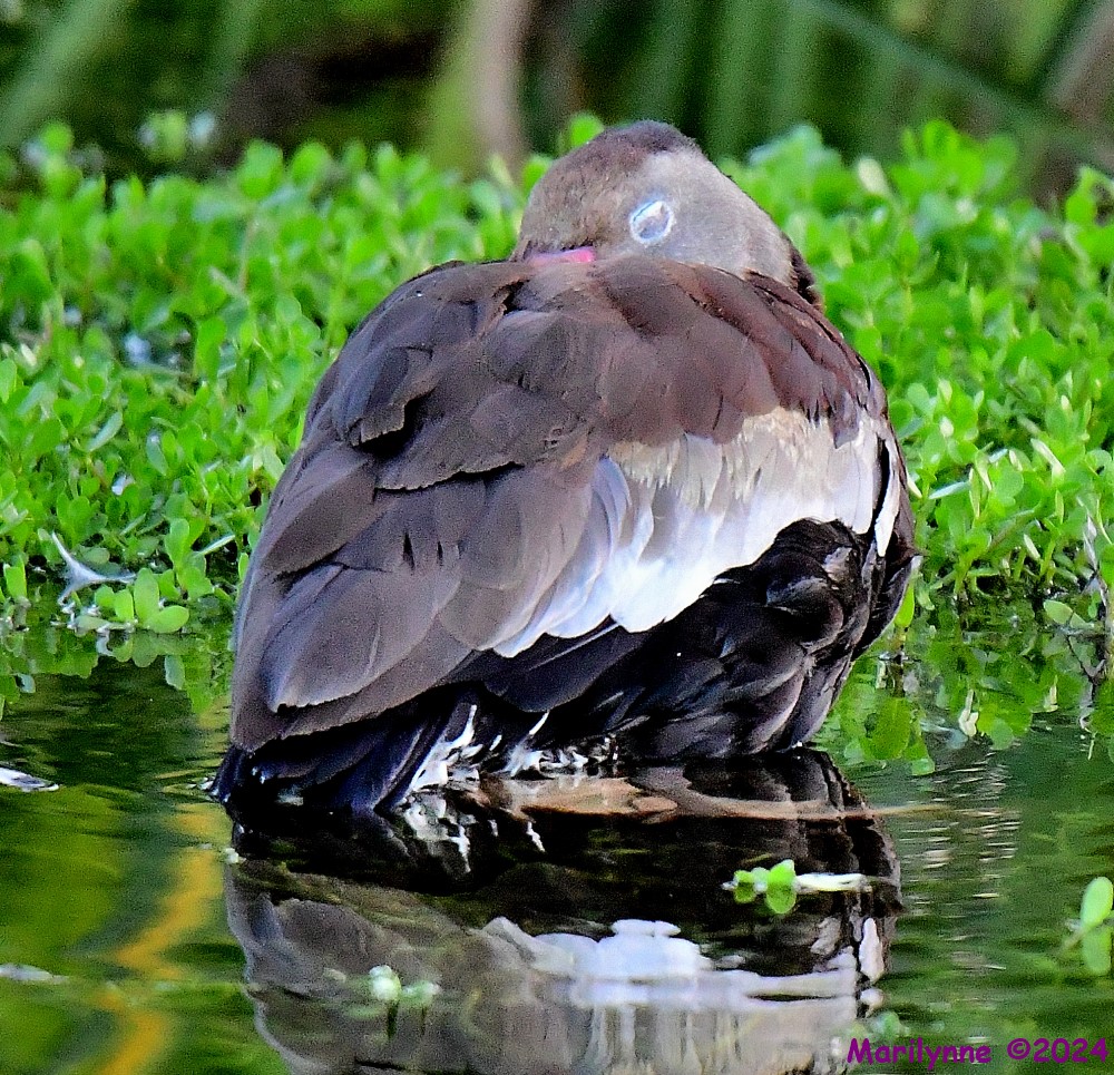 DSC_4710_001.JPG