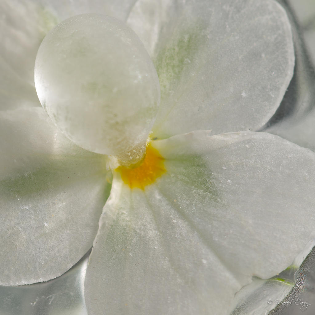 DSC_4713.jpg