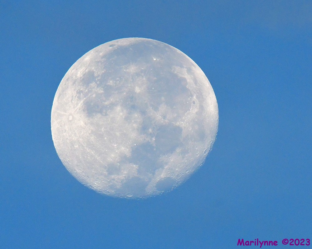DSC_4713_001.JPG