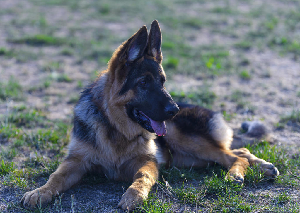 DSC_4714.jpg