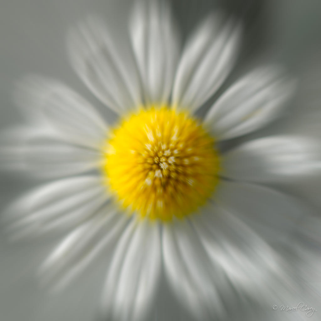 DSC_4716-Modifier-2.jpg