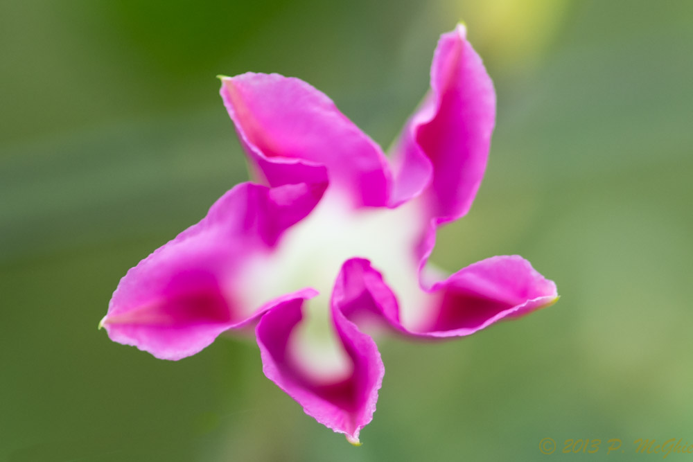 DSC_4720.jpg