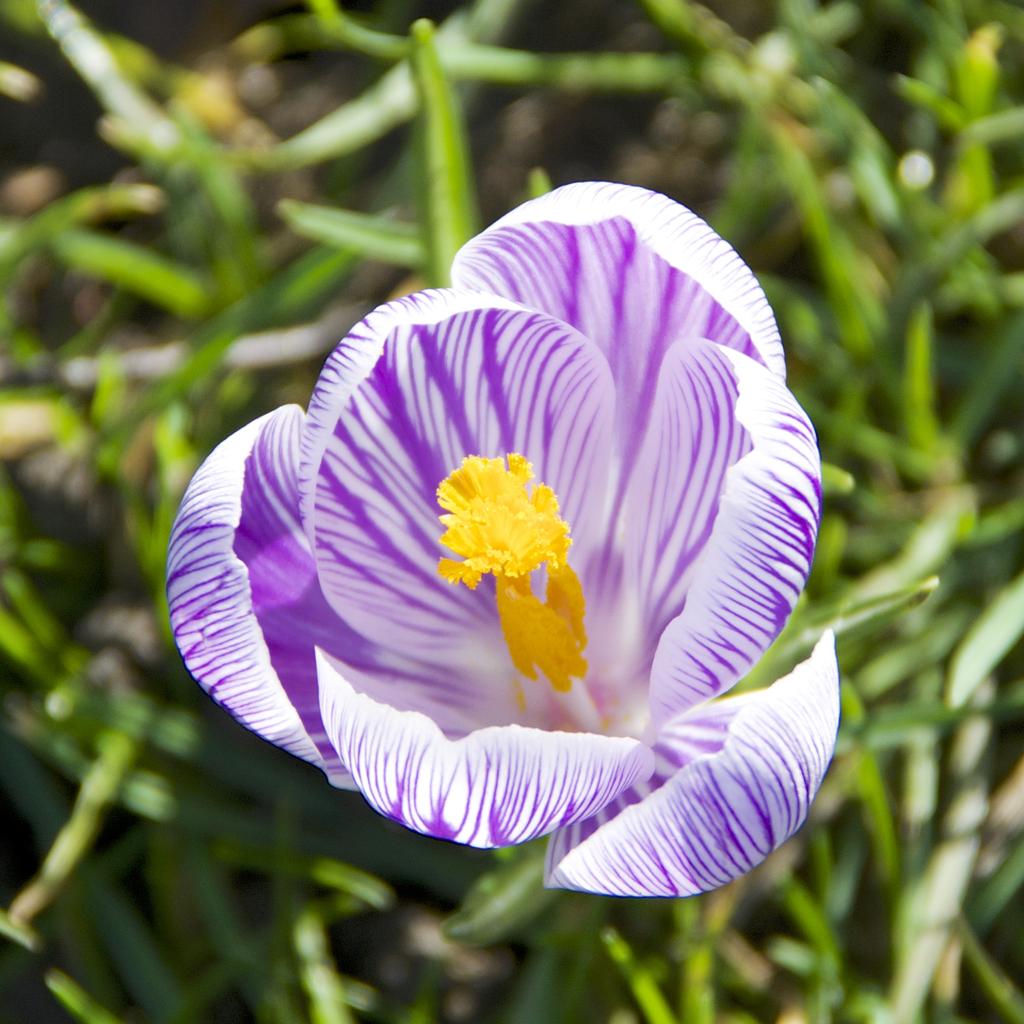 DSC_4722.jpg