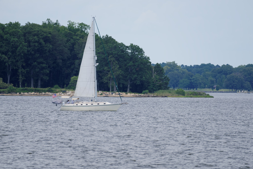 DSC_4722_DxO.jpg