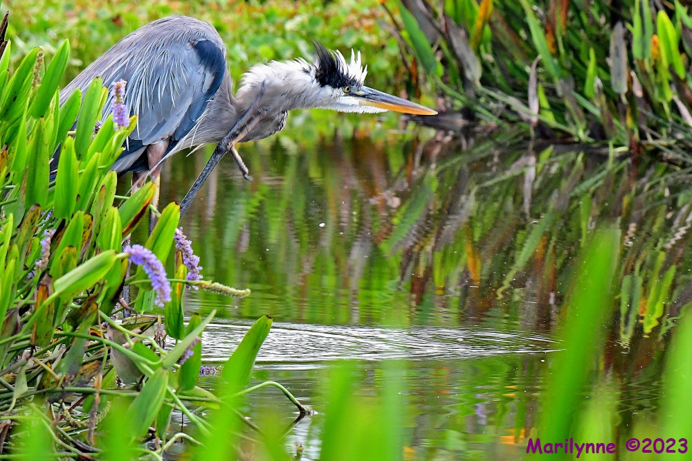 DSC_4725_001.JPG