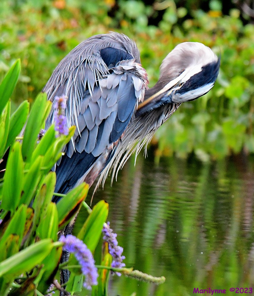 DSC_4729_001.JPG
