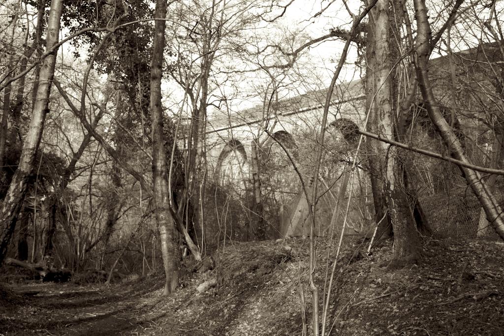 DSC_4749.jpg
