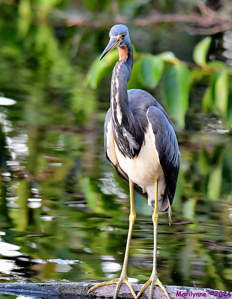DSC_4750_001.JPG