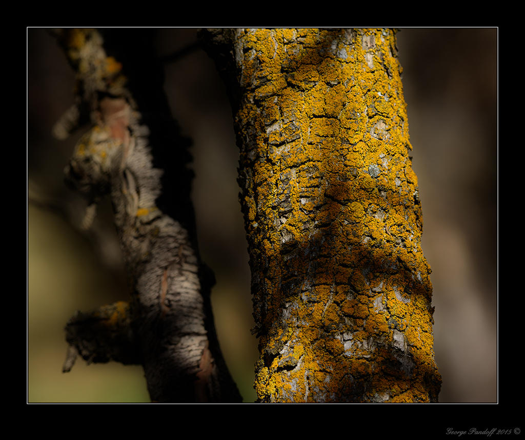 DSC_4750_Web.jpg