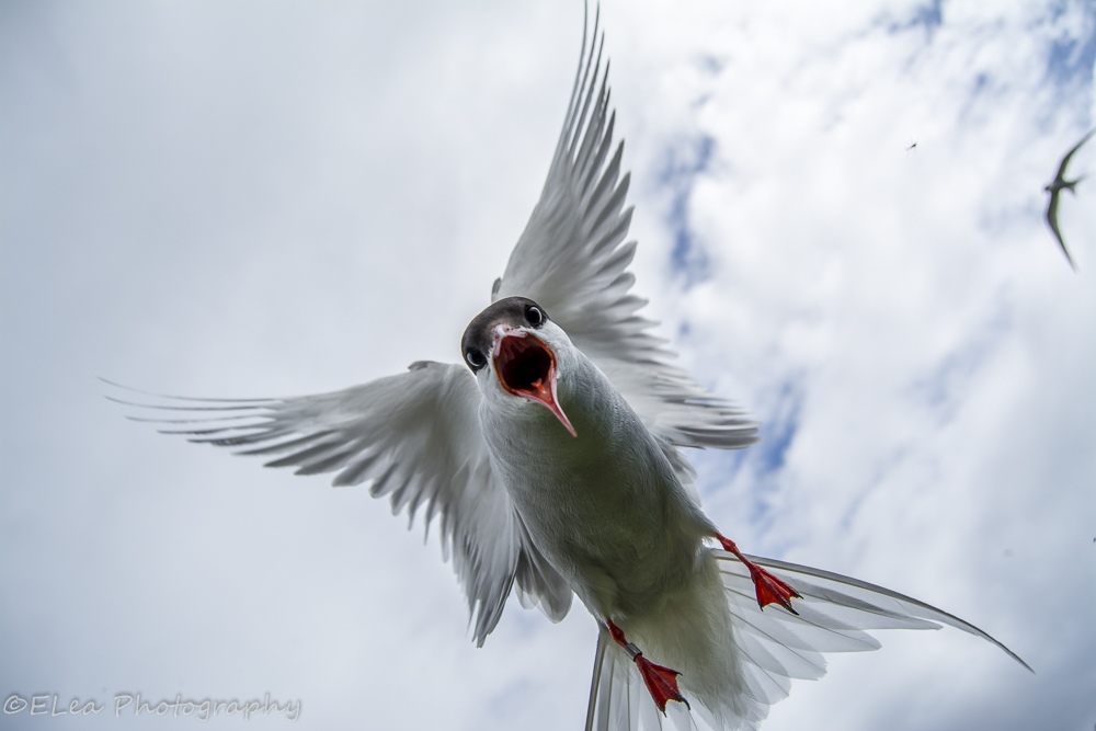 DSC_4753.jpg