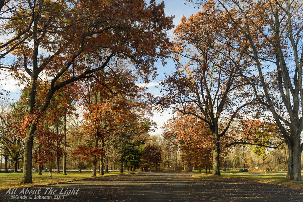 DSC_4753 low res.jpg DSC_4753 low res.jpg