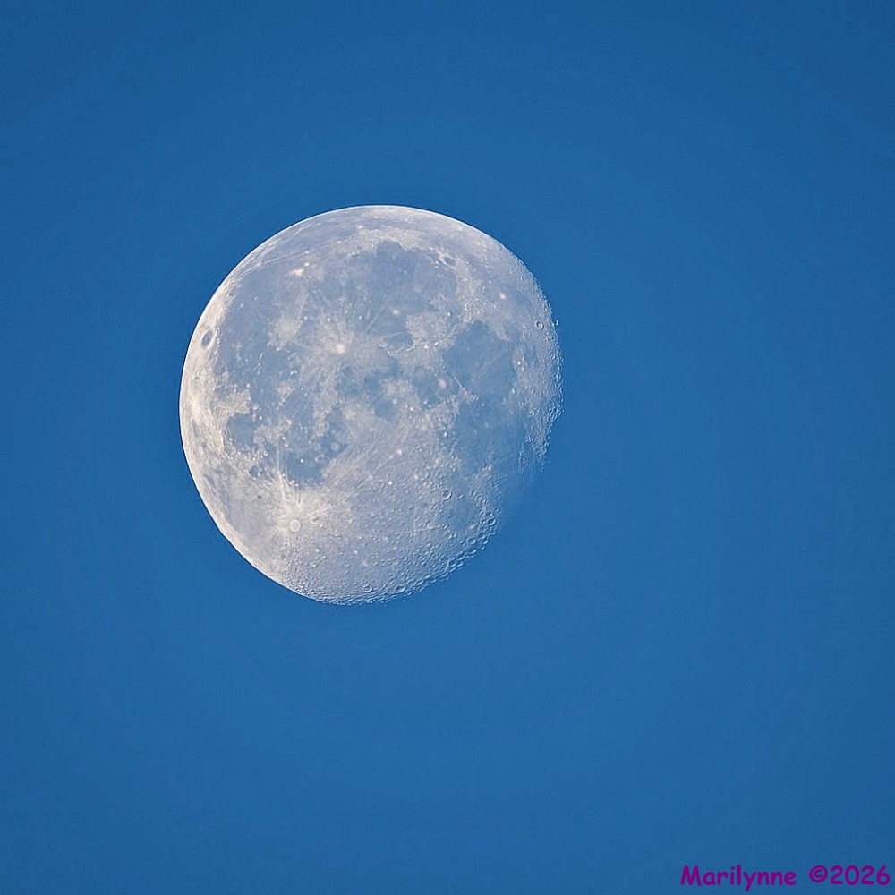 DSC_4754 copy_001.JPG