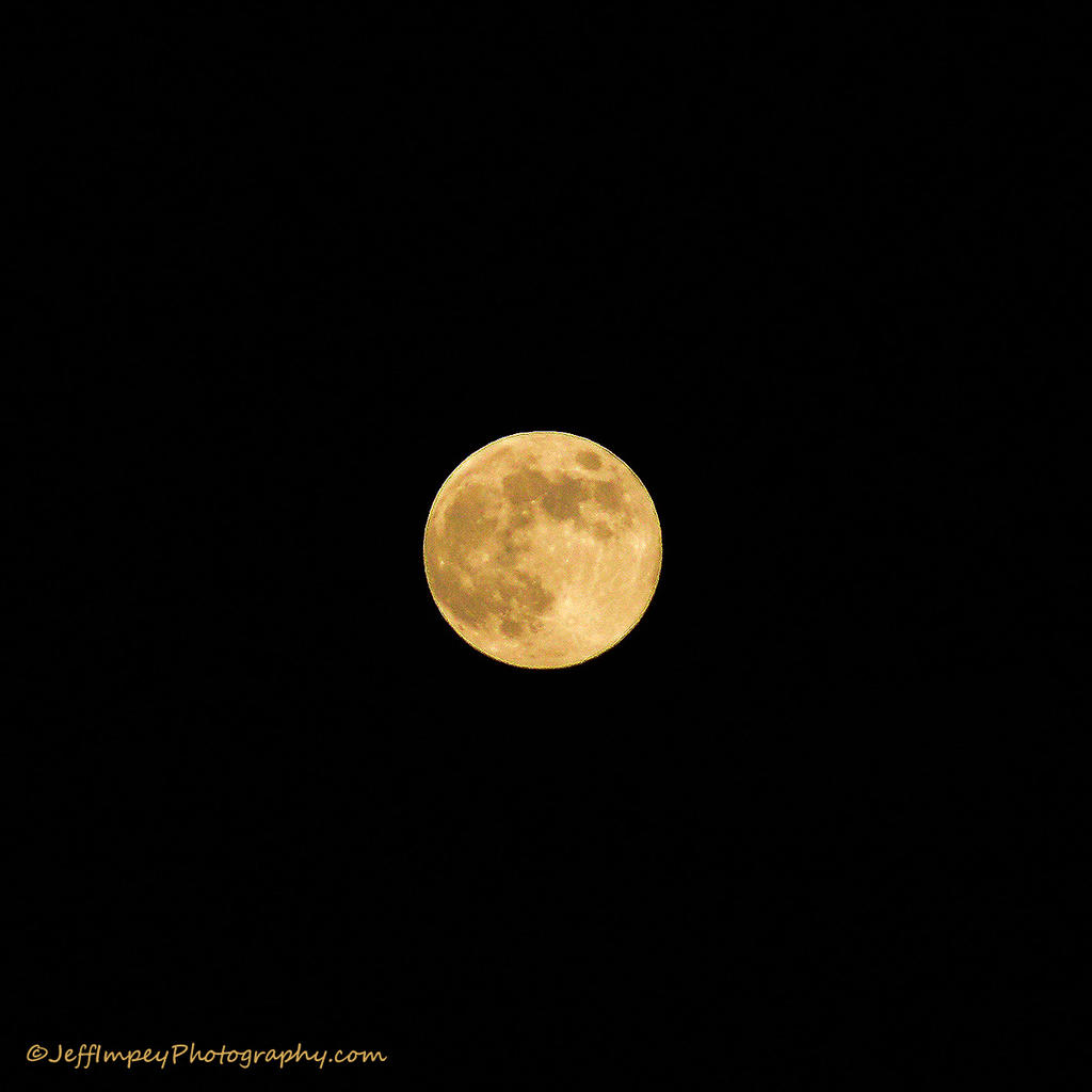 DSC_4754.jpg