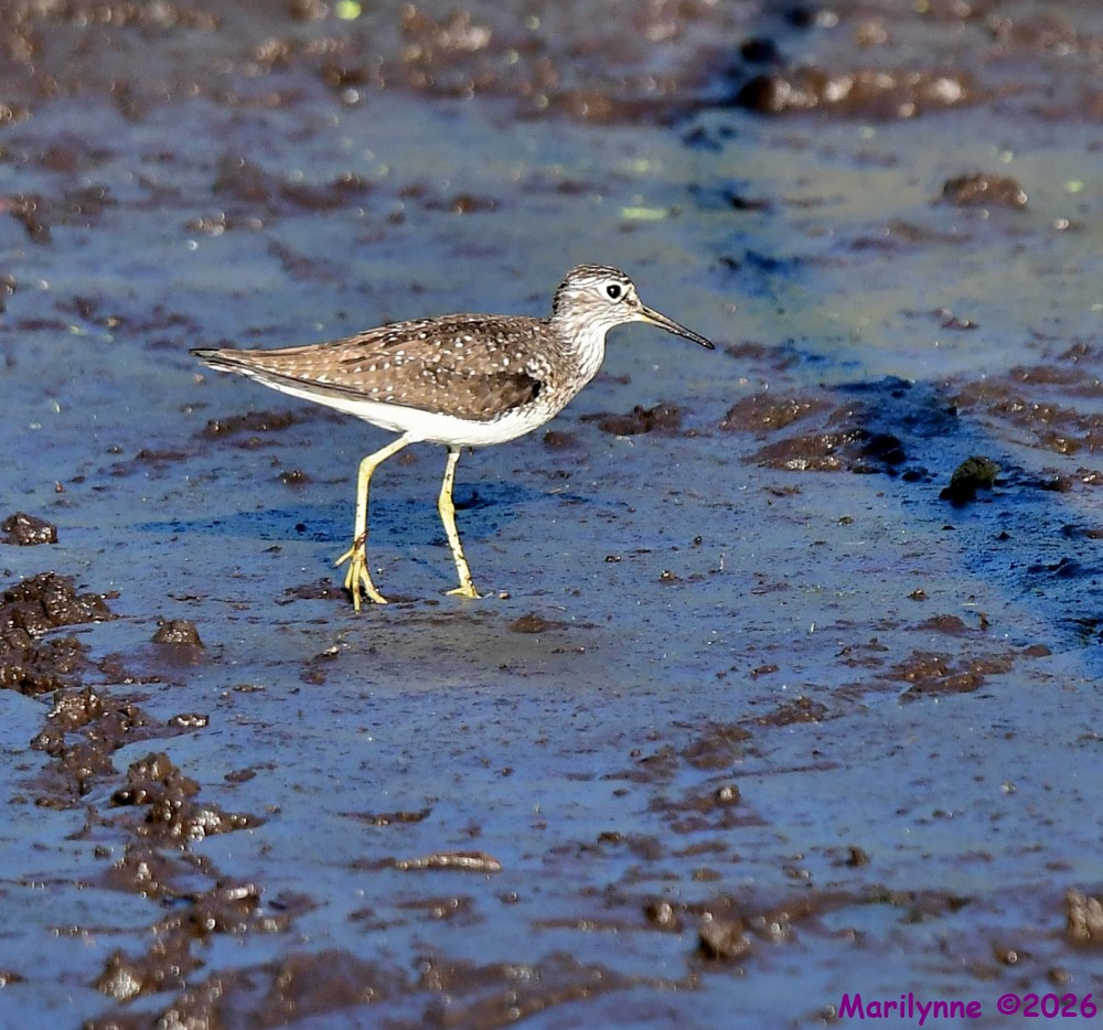 DSC_4755_001.JPG