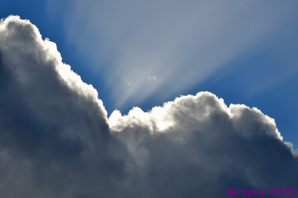 DSC_4757_001.JPG