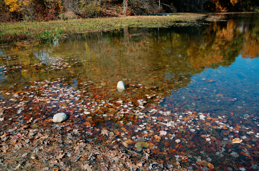 DSC_4760_1_2_tonemapped.jpg