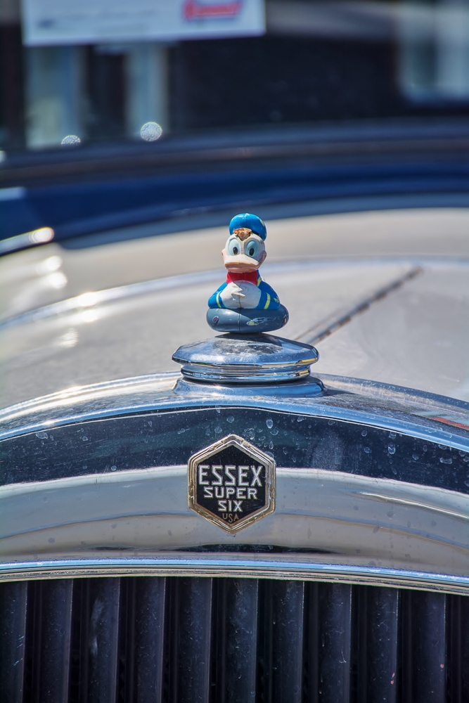 DSC_4761.jpg