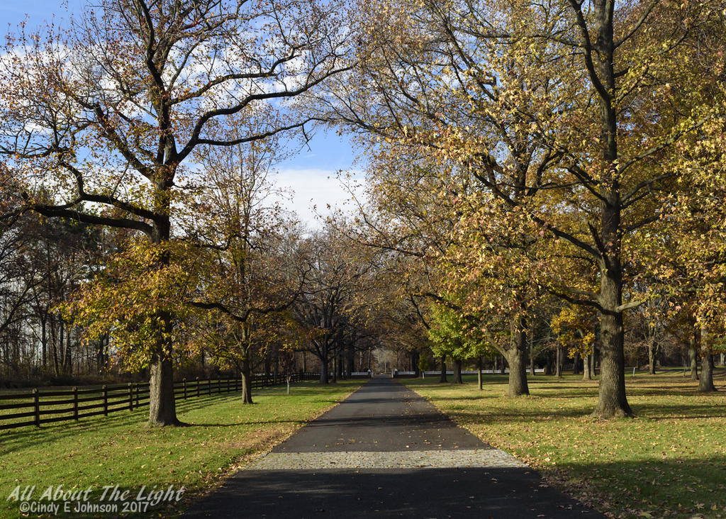 DSC_4763 low res.jpg DSC_4763 low res.jpg