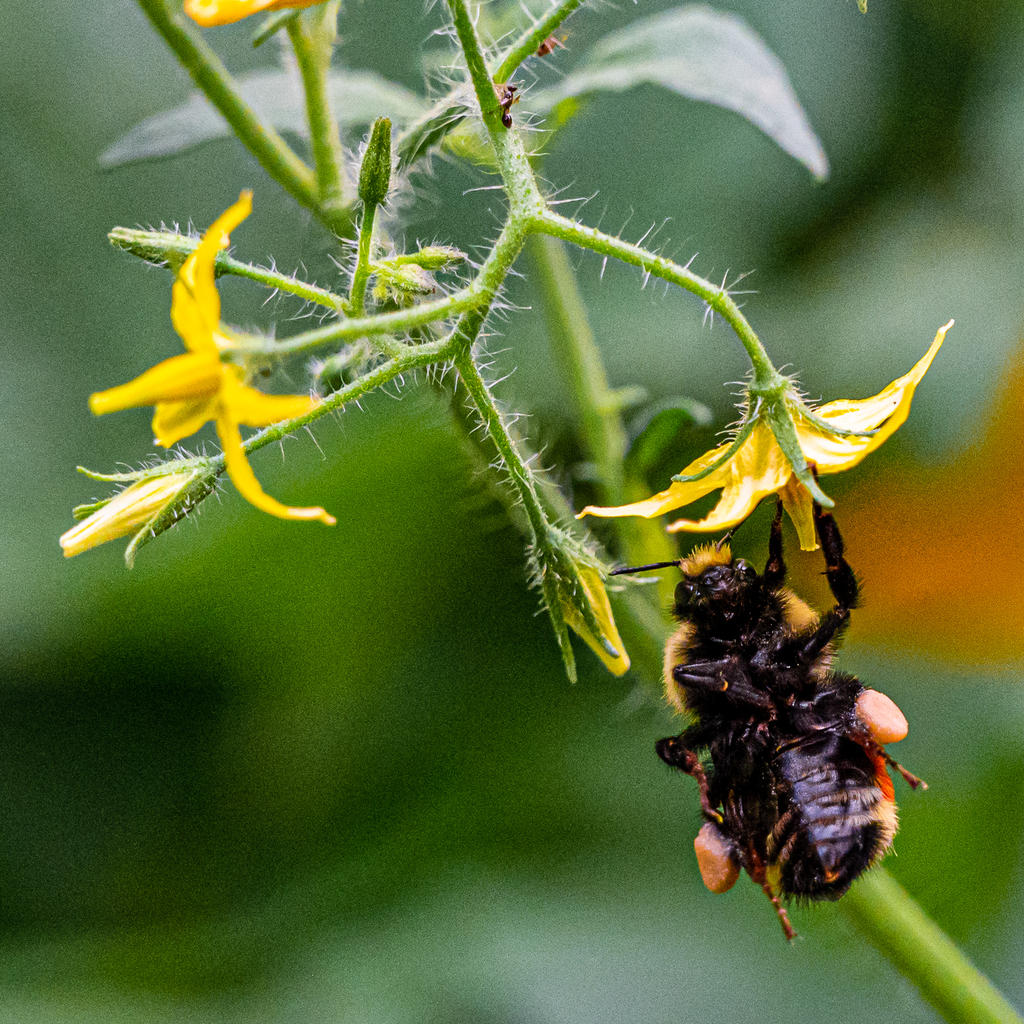 DSC_4764.jpg