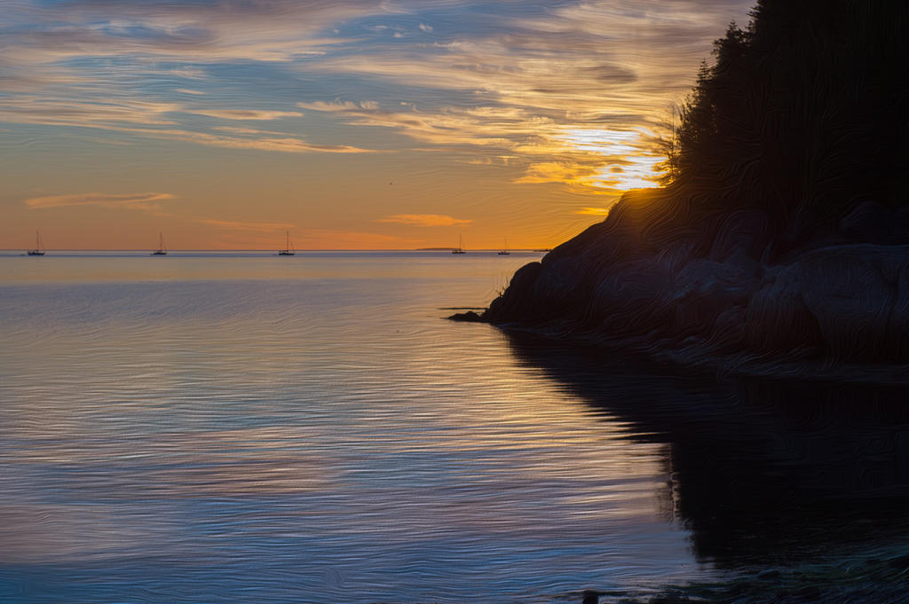 DSC_4771oil.jpg