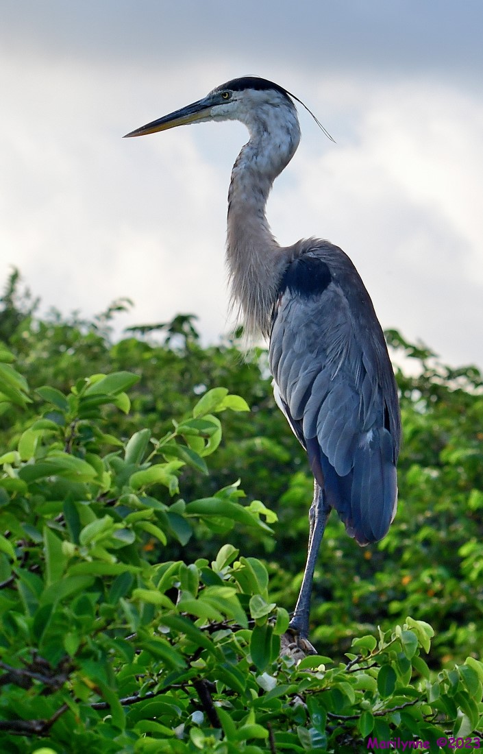 DSC_4777_001.JPG