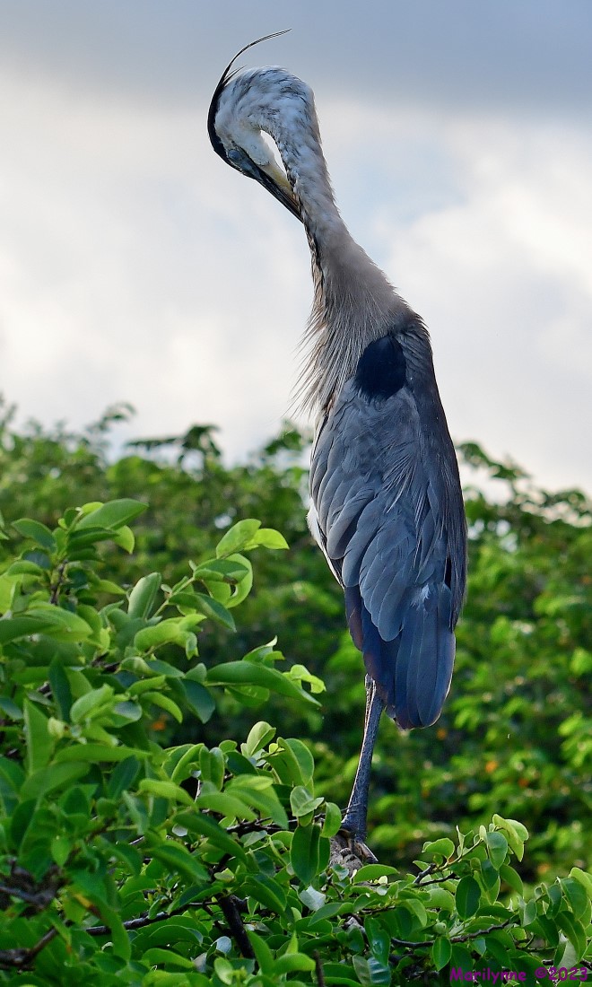 DSC_4778_001.JPG