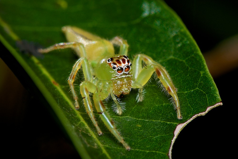 DSC_4791.jpg
