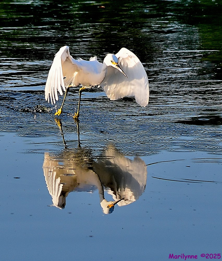DSC_4792_001.JPG